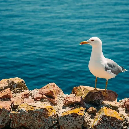Sea *